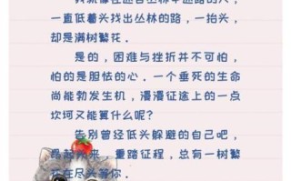 昂起头真美作文怎么写_昂起头真美作文素材有哪些