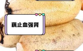孕妇能吃莲藕吗_莲藕对胎儿的好处