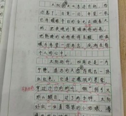 五年级上册第二单元作文怎么写_如何描写场景细节