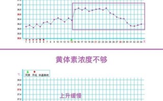 孕妇正常体温范围是多少_怀孕后体温会升高吗