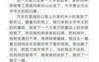 一年级清明节作文怎么写_一年级清明节作文范例