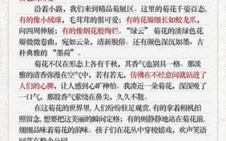 菊花作文怎么写_菊花象征意义有哪些