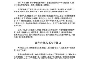 五年级作文怎么写_300字作文如何扩展