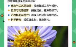 6d微距镜头推荐_6d微距镜头怎么选