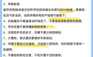 孕妇能碰狗吗_怀孕养狗注意事项