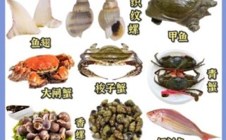 孕妇可以吃哪些海鲜_孕妇吃海鲜安全吗