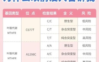 孕妇几个月开始吃叶酸_叶酸吃到什么时候停