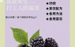 孕妇可以吃桑葚干吗_桑葚干对胎儿有影响吗