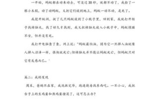 关于我发现的作文怎么写_小学生写作技巧