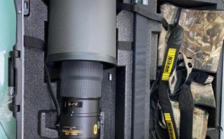 尼康打鸟镜头推荐_哪款最适合新手