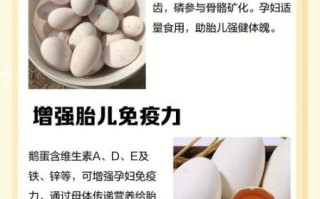 孕妇几天吃一个鹅蛋好_鹅蛋对胎儿有什么好处