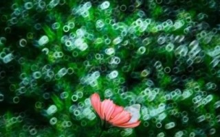 折返镜头作品怎么拍_折返镜头作品后期调色技巧