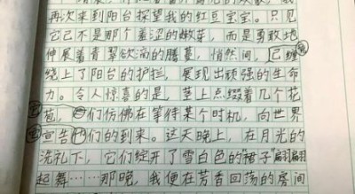 四年级上册四单元作文怎么写_如何写观察日记