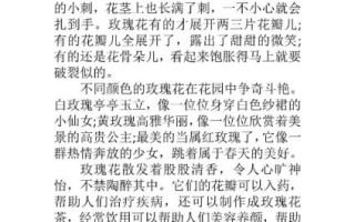 玫瑰园怎么写作文_玫瑰园作文素材有哪些