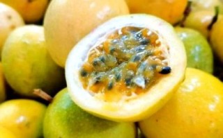 孕妇可以喝百香果水吗_百香果水对胎儿有影响吗