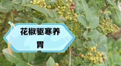 孕妇能吃花椒吗_花椒对孕妇的影响