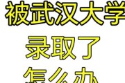 武汉大学招生网怎么用_2024录取规则是什么