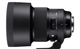 适马105微距镜头怎么样_适马105微距镜头值得买吗