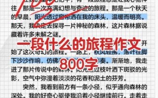 一段什么的旅程作文怎么写_如何写出高分范文