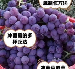 孕妇可以吃冰葡萄吗_冰葡萄对胎儿有影响吗
