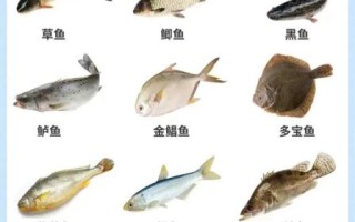 孕妇吃带鱼对胎儿好吗_孕期带鱼怎么吃最安全