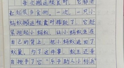 飞翔的蚂蚁作文怎么写_飞翔的蚂蚁写作技巧