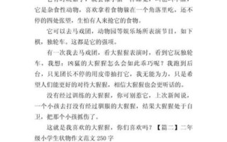 状物作文怎么写_状物作文写作技巧