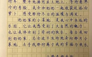 奶奶的菜园作文怎么写_如何描写奶奶的菜园