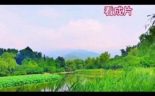 acdk镜头怎么样_acdk镜头适合拍什么