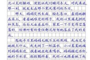 那一刻我长大了作文怎么写_那一刻我长大了600字范文