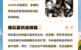 孕妇可以吃鸡纵菌吗_孕期吃鸡纵菌注意事项