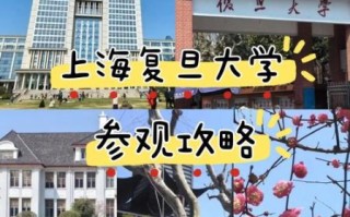 复旦大学在上海哪个区_复旦大学具体地址在哪