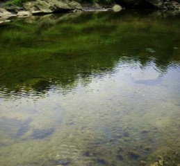 小井沟在哪里_小井沟有什么好玩的