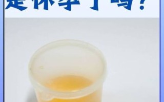 孕妇尿黄正常吗_孕早期尿黄是什么原因