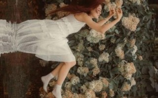 镜头下的世界_如何用手机拍出电影感