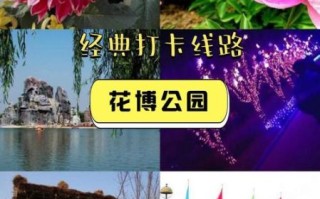 蚌埠花博园门票多少钱_蚌埠花博园好玩吗