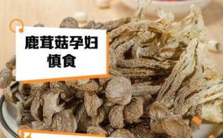 孕妇不能吃哪些菌类_孕期食用菌禁忌