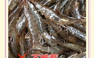 孕妇能吃基围虾吗_怀孕吃虾注意事项