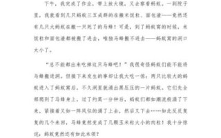 四年级作文怎么写_400字作文怎么写