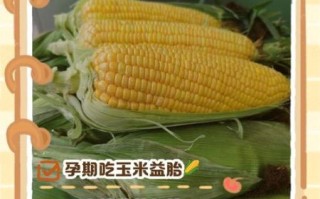 孕妇可以吃玉米吗_玉米对胎儿的好处