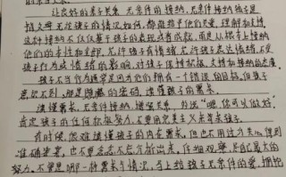 家有儿女作文怎么写_家有儿女观后感800字