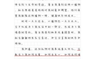 最好的礼物作文600字怎么写_如何写出感人至深的礼物故事