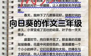 向日葵为什么总是向着太阳_向日葵作文怎么写