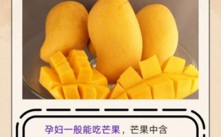 孕妇可以吃芒果吗_孕妇吃芒果的注意事项