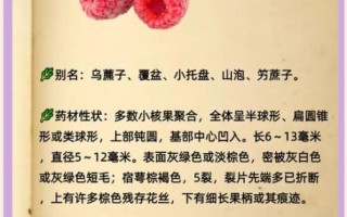 孕妇能吃覆盆子吗_覆盆子对孕妇的好处