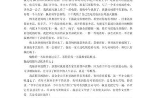 什么是假日经济_如何写好假日经济作文