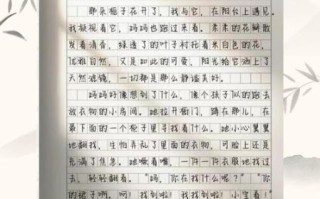 优秀作文大全300字怎么写_如何写出高分300字作文