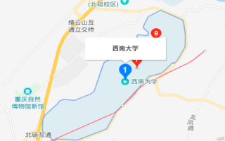 西南大学在哪_西南大学具体位置在哪