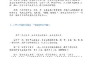 小学生作文怎么写_300字作文怎么写