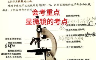 目镜镜头越长放大倍数越大吗_长目镜对观测有何影响